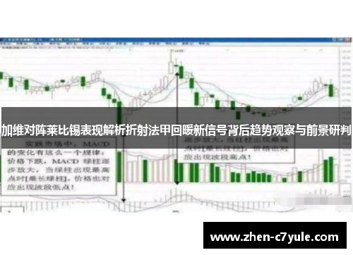 加维对阵莱比锡表现解析折射法甲回暖新信号背后趋势观察与前景研判